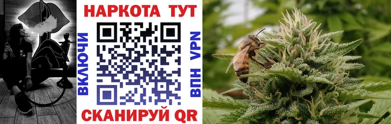 Купить наркотики цена Верхняя Пышма Псилоцибиновые грибы Марихуана Меф Гашиш АМФЕТАМИН КОКАИН Альфа ПВП