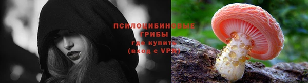 твердый Белокуриха