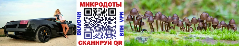 Псилоцибиновые грибы ЛСД как найти закладки Верхняя Пышма