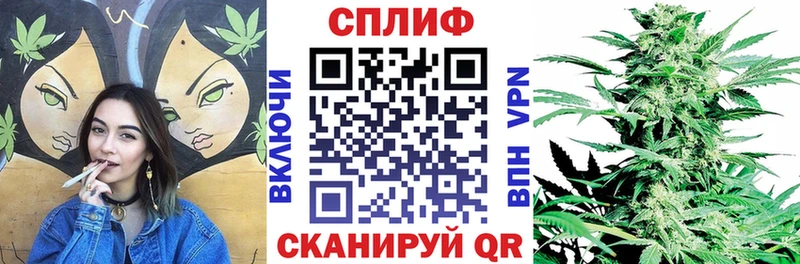 МАРИХУАНА OG Kush где найти Верхняя Пышма